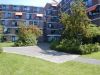 DSCN 0181